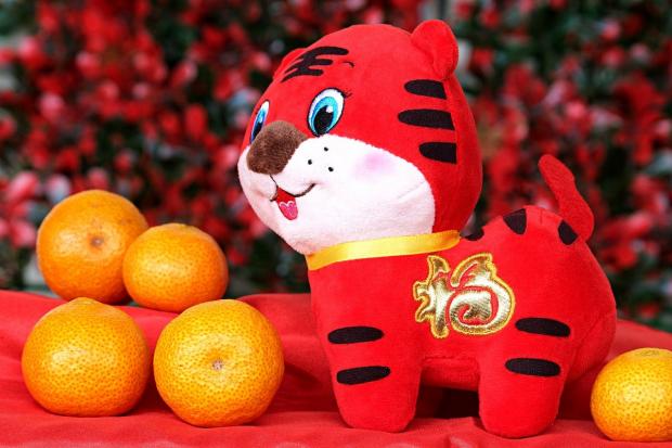 Год Тигра Китайский Новый год